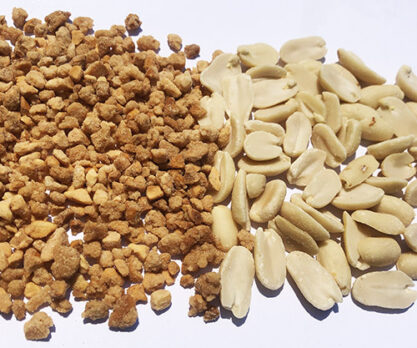 שברי בוטנים גרוסים מסוכרים לקישוט עוגות