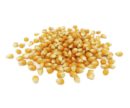 פופקורן גרעיני תירס